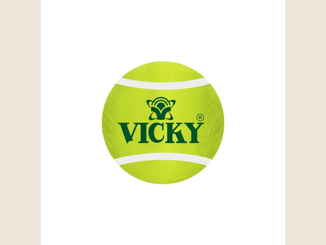 Vicky Cricket Tennis Ball Heavy