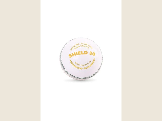 SG Leather Ball Shield 30