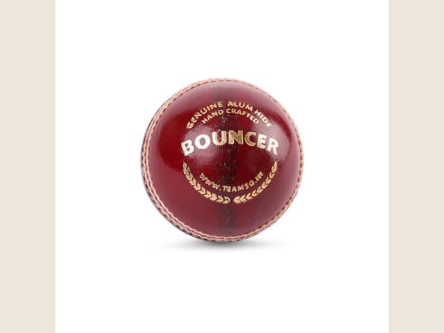 SG Leather Ball Bouncer