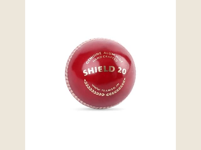 SG Leather Ball Shield 20