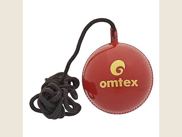 Omtex Hanging & Knocking Training Ball