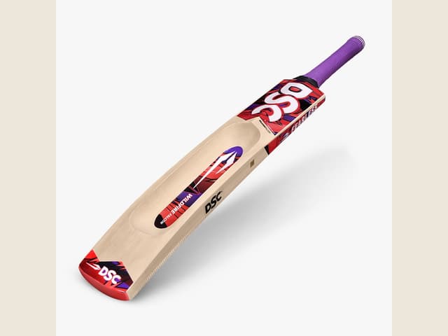 DSC Tennis Bat Wildfire Falcon
